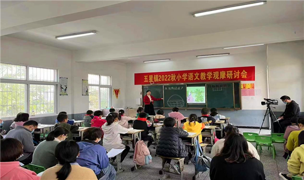 新野县五星镇举办小学语文教学观摩研讨会