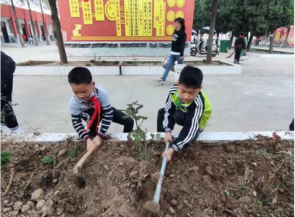 邓州市张村镇冠军小学：让学生在劳动中长知识享快乐