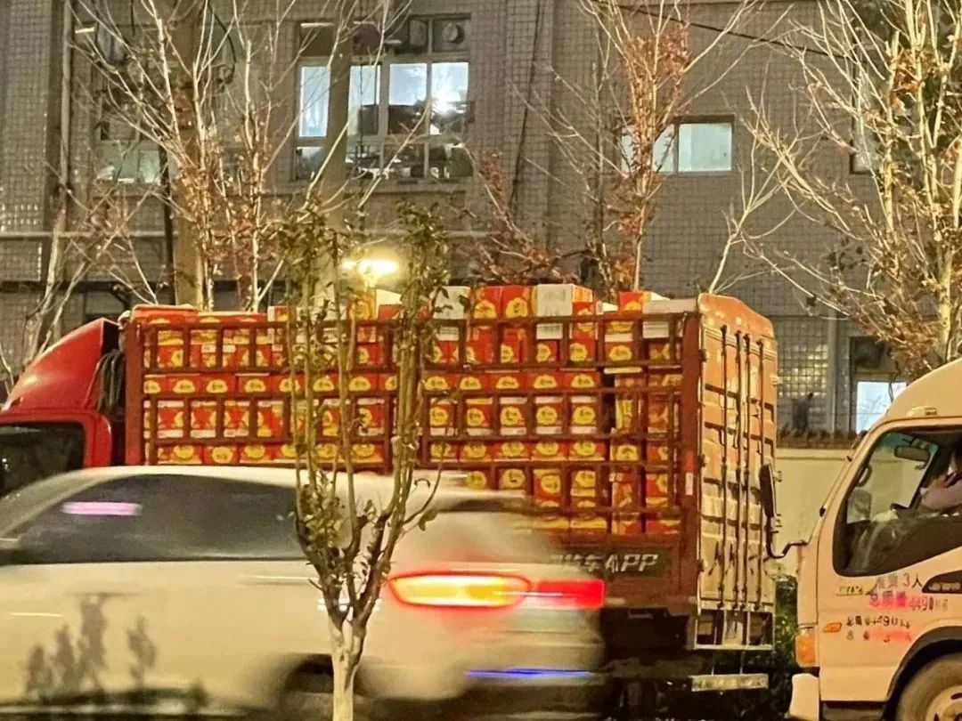 @爸爸妈妈:你们放宽心——我们在学校挺好的……