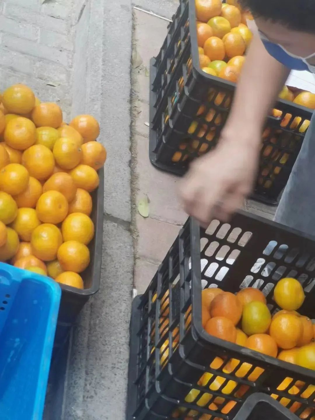 @爸爸妈妈:你们放宽心——我们在学校挺好的……