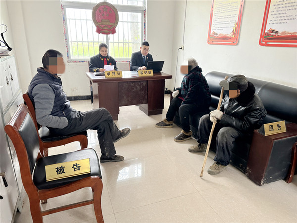 新野县法院沙堰法庭巡回审理八旬老人赡养纠纷案
