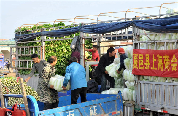 河南省商丘市工商联：组织开展 “蔬菜促销·爱心助农”活动