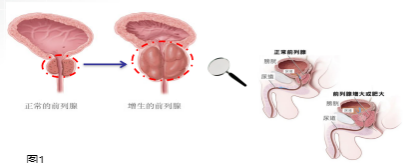 科普