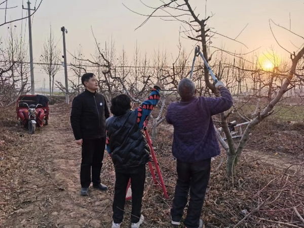 河南省科技特派员杜君赴杞县开展科技服务助力乡村振兴