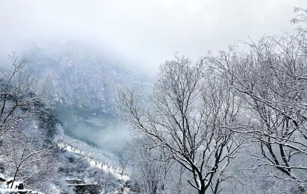 安阳林州：雪后太行雾凇云海似仙境