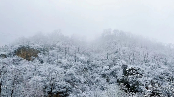 安阳林州：雪后太行雾凇云海似仙境