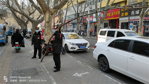 5米长的枯树枝悬挂半空，郑州市经八路巡防队员爬上梯子将其拽下
