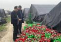 南阳宛城区茶庵乡：人大代表解题破难 迎来羊肚菌丰收之喜