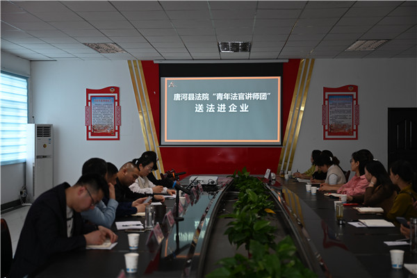 唐河县法院“订单式”法律服务 助力中小微企业健康发展