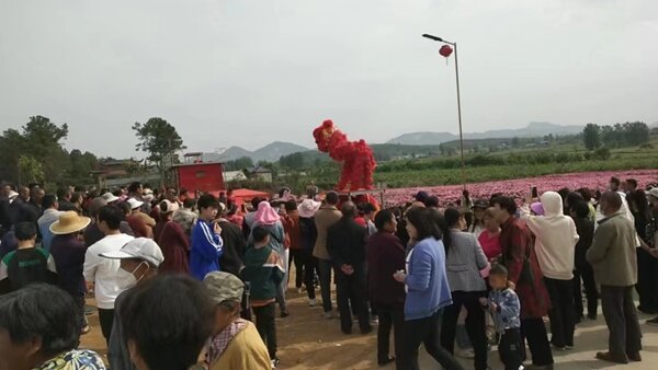 确山县瓦岗镇：假期总结 “五一游瓦岗”成乡村旅游热点