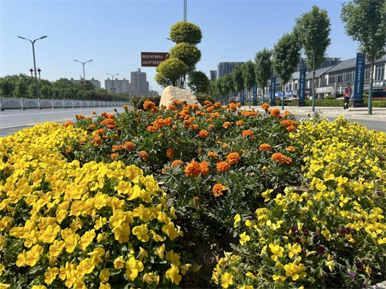 商城县城市管理局：积极打造花园城市 提升群众幸福感