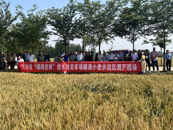 河南省“四优四化”优质小麦专项现场测产观摩会在息县召开