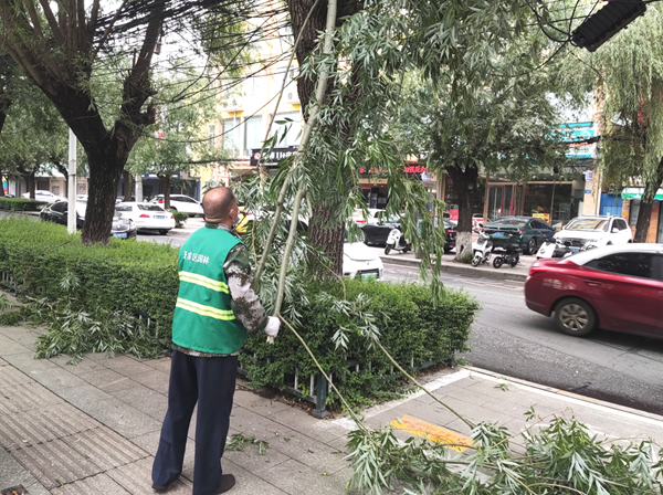 驻马店开发区城市管理局加强绿化环境卫生整治