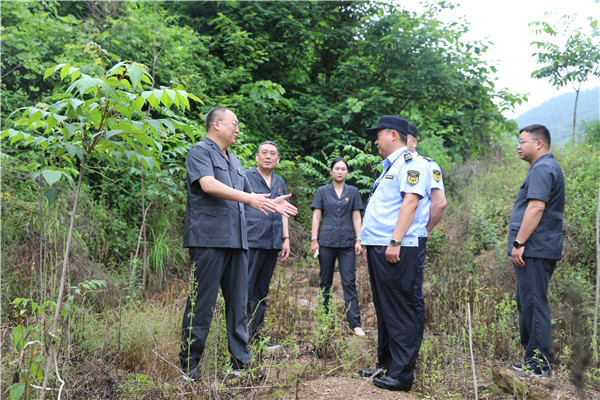 西峡县法院首个“生态环境司法修复基地”揭牌