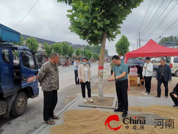 泌阳县铜山乡：三夏生产抢收忙 全力服务保粮仓