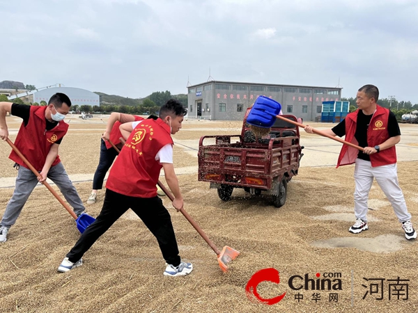 确山县刘店镇：当好“三员” 做好“三夏”生产抢收工作