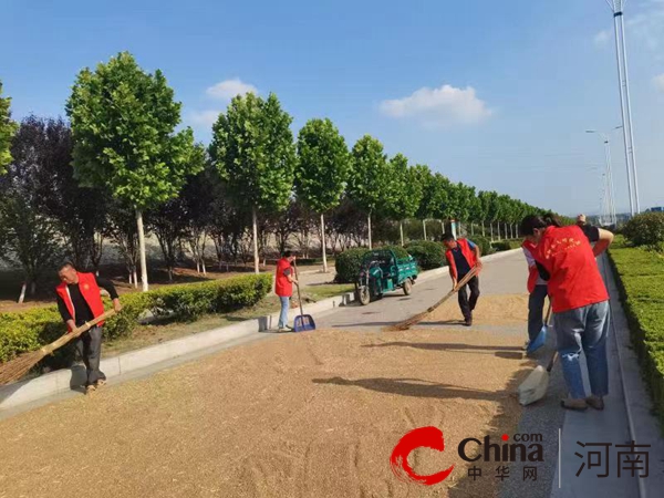 泌阳县花园街道：三夏抢收小麦忙