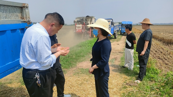 ​西平县人和乡人大多举措护航“三夏”小麦抢收