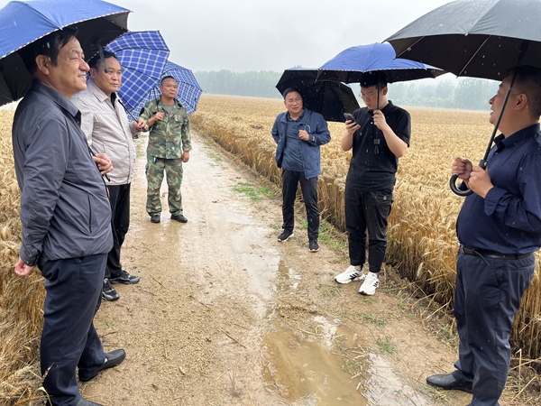 ​河南省应急管理厅工作组及市应急管理局一行到西平县指导灾情统计报送工作