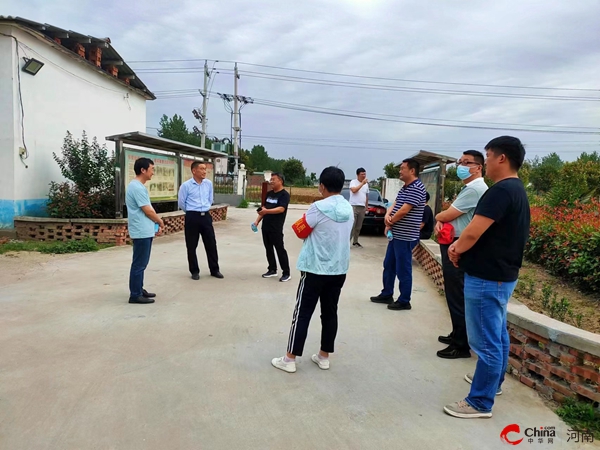 平舆县东皇街道：粮安 农稳