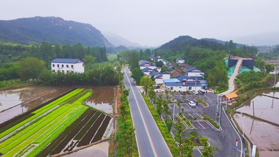 罗山：美丽“稻田画”打造乡村旅游新景观