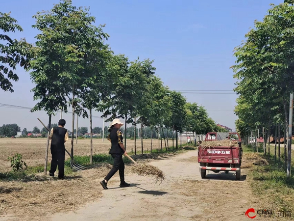 平舆县杨埠镇：秸秆禁烧不放松 人居环境再提升