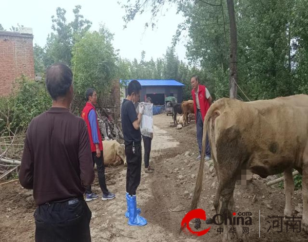 ​确山县开展科技下乡活动 助力畜牧产业发展