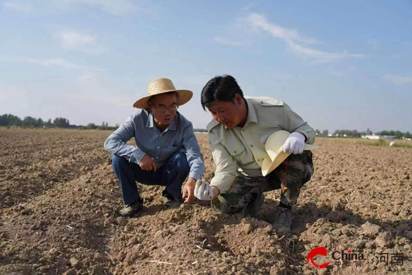 ​正阳县：家庭农场擦亮乡村振兴“名片”