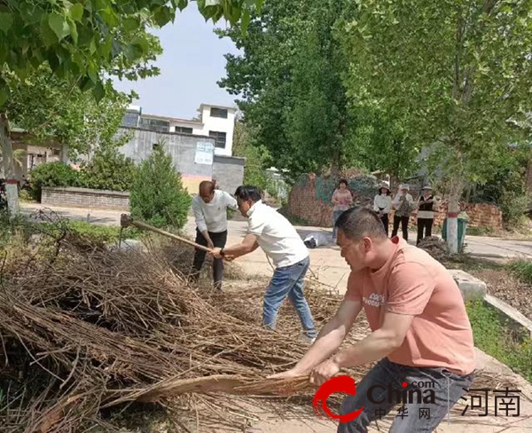 泌阳县高邑镇：环境整治齐动手 乡村颜值再提升