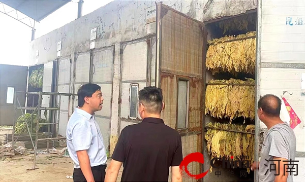 ​泌阳县赊湾镇：走一线 解难题 扎实做好烟叶生产各项保障工作
