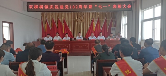 每日简讯：​潢川县双柳树镇组织召开庆祝中国共产党成立102周年暨“七一”表彰大会
