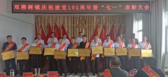 ​潢川县双柳树镇组织召开庆祝中国共产党成立102周年暨“七一”表彰大会