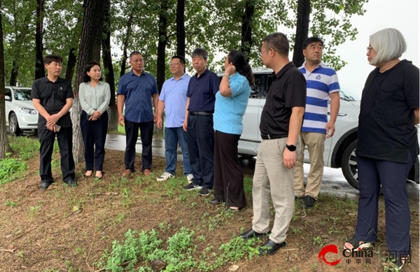 ​国家玉米产业技术体系岗位专家到西平县调研玉米病虫草害发生防控情况