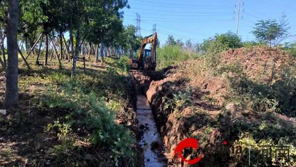 ​驻马店市驿城区古城街道：做好农田积水排涝 确保群众秋收秋种