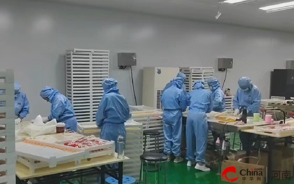平舆县万冢镇：村里有个“甜蜜”工厂  成就村民甜蜜事业