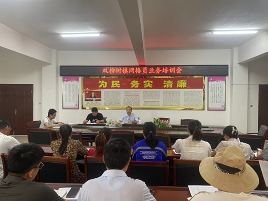 报道：​潢川县双柳树镇组织召开网格员事件上报业务培训会