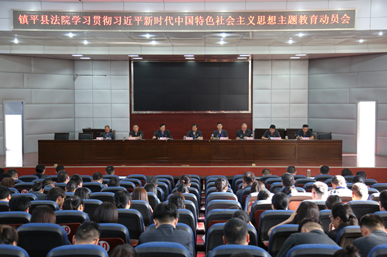 镇平县法院召开学习贯彻习近平新时代中国特色社会主义思想主题教育工作会议