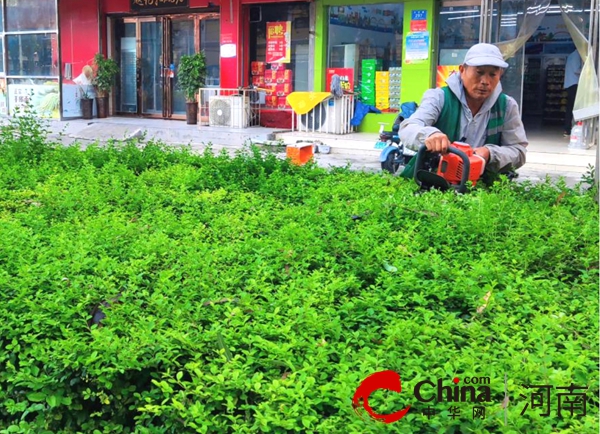驻马店开发区城市管理局：“绿色园丁”精修剪 城市面貌更有“形”