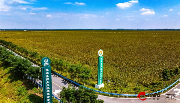 西平县2023年农民丰收暨高粱丰收美酒飘香文化节在豫坡集团启动