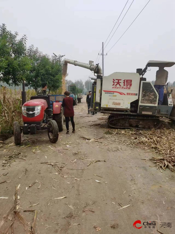  西平县师灵镇：抢抓降雨“空窗期”全力以赴保秋收