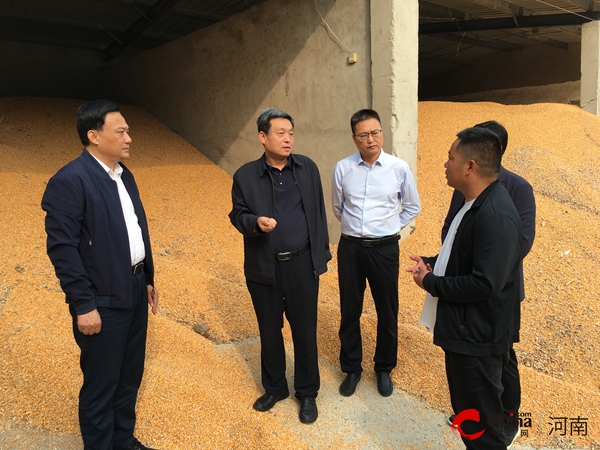 ​河南省粮食和物资储备局副局长徐富勇到西平县调研秋粮收购情况