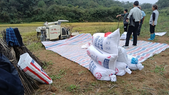 ​罗山县定远乡：天气晴好忙收获 颗粒归仓保丰收