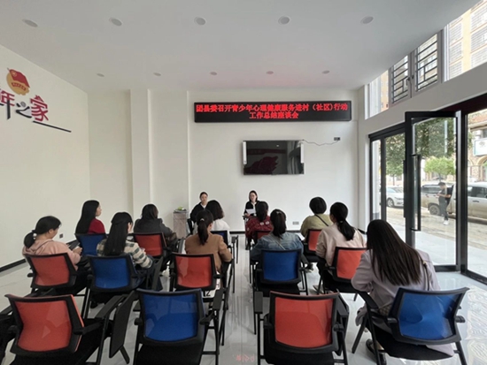 ​团淮滨县委召开青少年心理健康服务进村（社区）行动工作总结座谈会