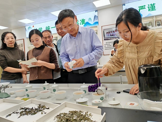 ​信阳：提升评茶技能 促进茶产业发展
