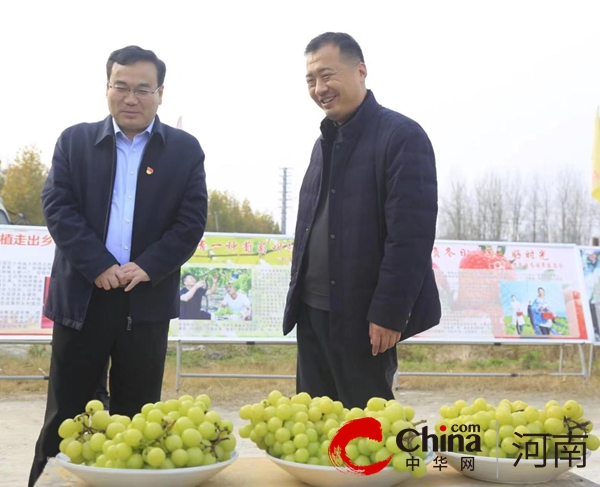 中国农业银行驻马店分行与张庙村签订定点帮扶合作共建协议