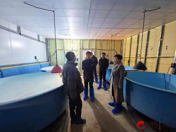 每日快讯!​河南省农业农村厅调研指导西平县设施渔业发展