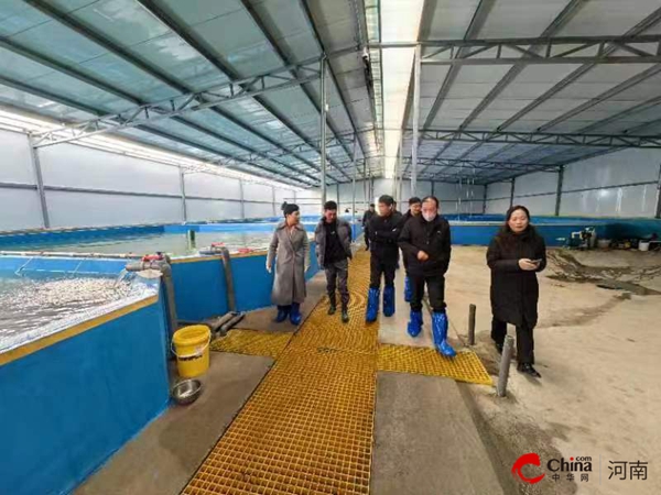 ​河南省农业农村厅调研指导西平县设施渔业发展
