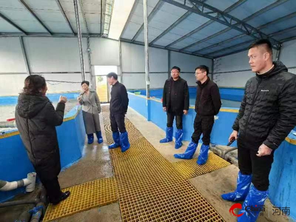 ​河南省农业农村厅调研指导西平县设施渔业发展