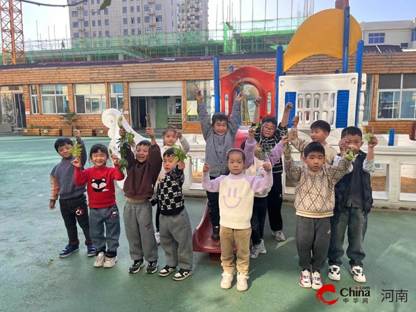 ​“幼”迎冬至 情暖童心——西平县直第二幼儿园冬至节气教育活动