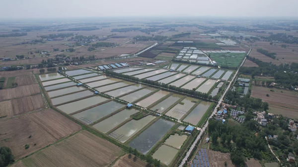 邓州市建国农副产品公司：入选2023年度国家级生态农场！